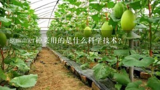 summer种菜用的是什么科学技术？