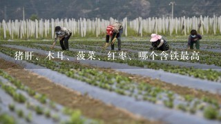 猪肝、木耳、菠菜、红枣、哪个含铁最高