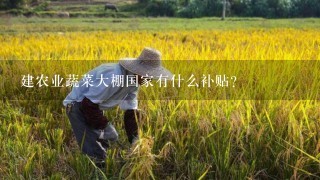 建农业蔬菜大棚国家有什么补贴？