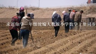 求逗你学1年级统编人教版小学数学上册同步学百度云资源免费分享