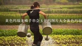 黄色玛瑙龙鳞手串会玉化吗图片大全黄色玛瑙龙鳞？