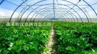 蔬菜的汉语拼音怎么拼