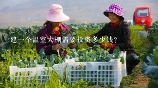 建1个温室大棚需要投资多少钱？