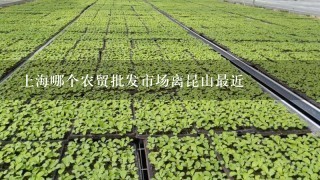 上海哪个农贸批发市场离昆山最近