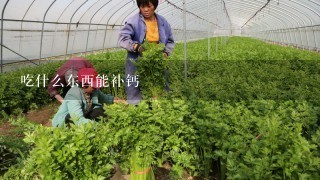 吃什么东西能补钙