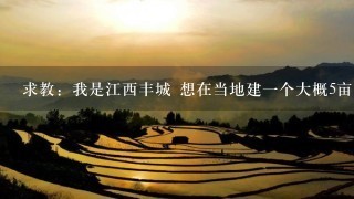 求教：我是江西丰城 想在当地建1个大概5亩的简单的大棚蔬菜种植地 建大棚大概需要多少钱1亩（最经济型的