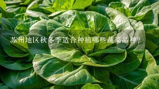 苏州地区秋冬季适合种植哪些蔬菜品种?