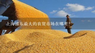 上海浦东最大的农贸市场在哪里？