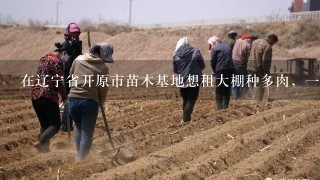 在辽宁省开原市苗木基地想租大棚种多肉，1年大棚要多少钱