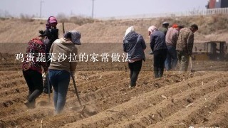 鸡蛋蔬菜沙拉的家常做法