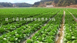 建1个蔬菜大棚需要花费多少钱