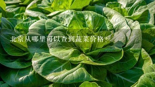 北京从哪里可以查到蔬菜价格？