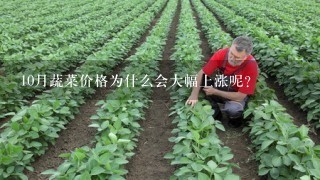 10月蔬菜价格为什么会大幅上涨呢？