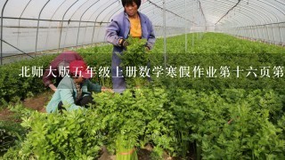 北师大版5年级上册数学寒假作业第十6页第3题答案