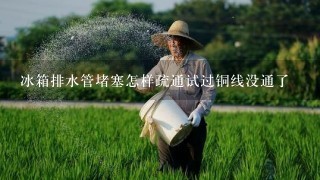 冰箱排水管堵塞怎样疏通试过铜线没通了