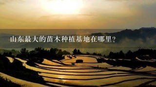 山东最大的苗木种植基地在哪里?