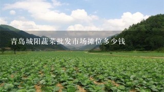 青岛城阳蔬菜批发市场摊位多少钱