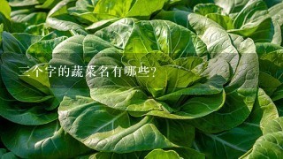 3个字的蔬菜名有哪些？