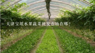 天津宝坻水果蔬菜批发市场在哪？