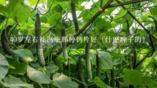 40岁左右补钙吃那种钙片好（什麽牌子的）