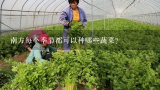 南方每个季节都可以种哪些蔬菜？