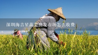 深圳海吉星蔬菜批发市场怎么收费