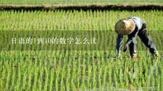 日语的1到10的数字怎么读