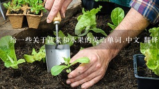 给1些关于蔬菜和水果的英语单词.中文 翻译.越多越好!