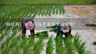 钢结构厂房造价每平米多少钱介绍？