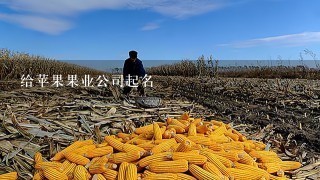 给苹果果业公司起名