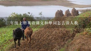 3年级上册英语课文和单词怎么读人教