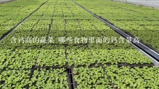 含钙高的蔬菜 哪些食物里面的钙含量高