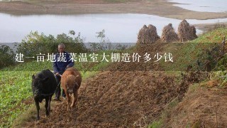 建1亩地蔬菜温室大棚造价多少钱