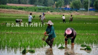 什么蔬菜含钙排行？