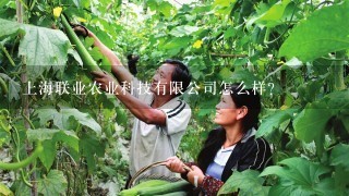 上海联业农业科技有限公司怎么样？
