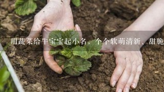 用蔬菜给牛宝宝起小名，个个软萌清新、甜脆可爱，寓