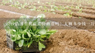 长沙浩博有机蔬菜价格贵吗？大概多少钱1斤