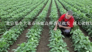 北京那个大菜市场能高鲜香菇批发 越大就越好