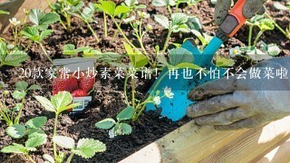 20款家常小炒素菜菜谱！再也不怕不会做菜啦