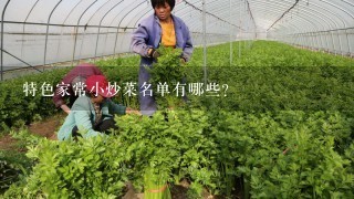 特色家常小炒菜名单有哪些？