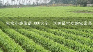 家常小炒菜谱1000大全，50种最常吃的家常菜菜名？