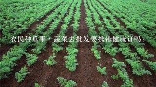 农民种瓜果丶蔬菜去批发要携带健康证吗？