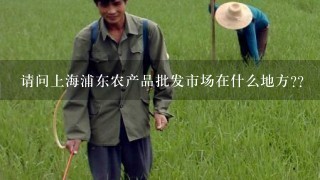请问上海浦东农产品批发市场在什么地方??