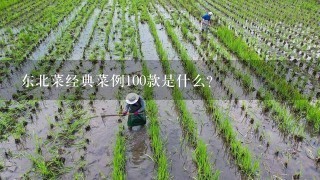 东北菜经典菜例100款是什么？