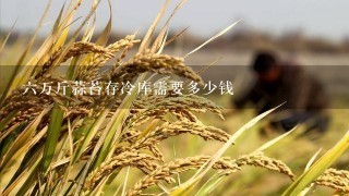 6万斤蒜苔存冷库需要多少钱