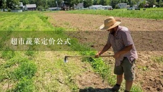 超市蔬菜定价公式