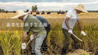 蔬菜生意新手怎么做