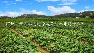 广州1年4季的时令蔬菜和水果是什么？