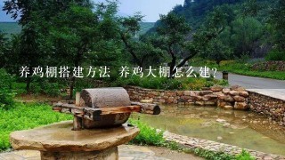 养鸡棚搭建方法 养鸡大棚怎么建？