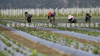 家常小炒菜谱1000大全，50种最常吃的家常菜菜名？